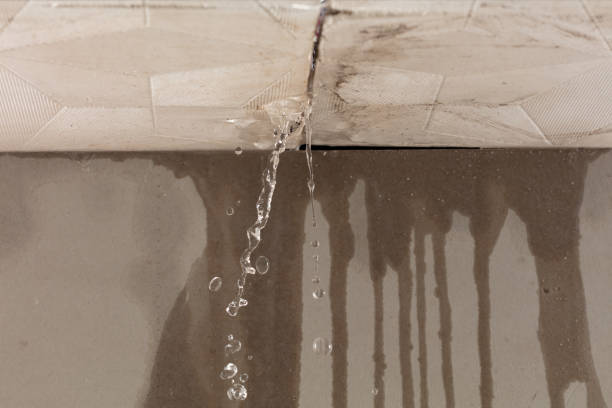 Professional Structural Drying technician working in Ottine, TX